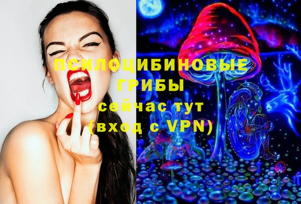 эйфоретик Балахна